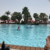 Abu-Dhabi-2017-10