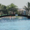 DSC01247