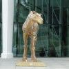 Dubai-2012-2