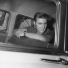 Elvis-Presley_Familie-Graf-130