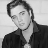 Elvis-Presley_Familie-Graf-99