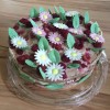 Sabine_Graf_Kuchen-29