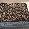 Sabine_Graf_Kuchen-69